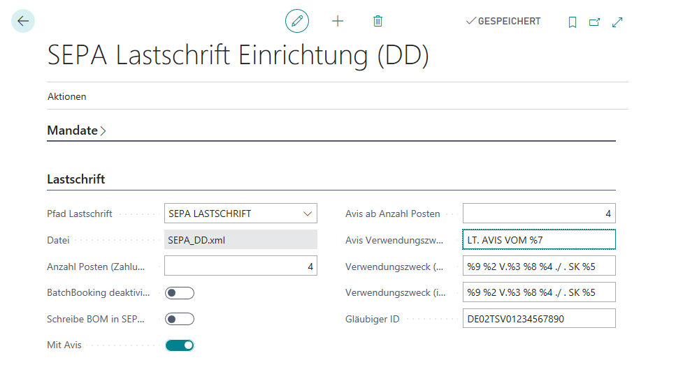 SEPA DD Setup
